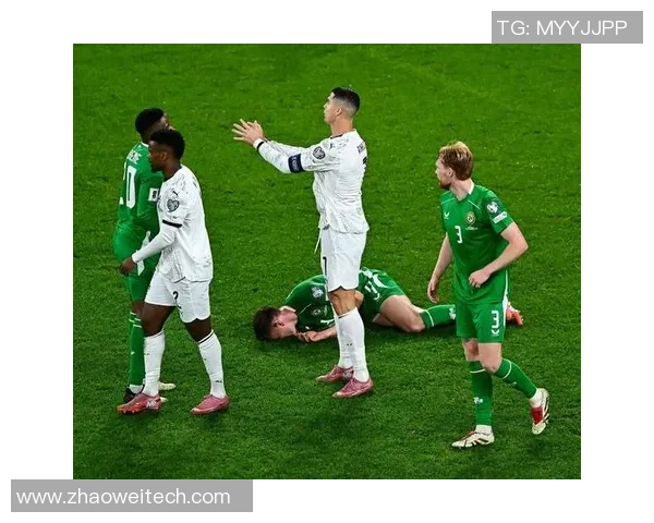 2004年巴西对阵爱尔兰罗纳尔多精彩表现引发全球关注